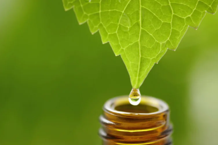 homeopatia